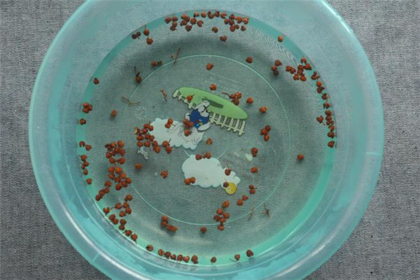 花椒泡腳泡幾天最合適 花椒泡腳泡多少分鐘 花椒泡腳泡幾天最合適 花椒泡腳泡多少分鐘