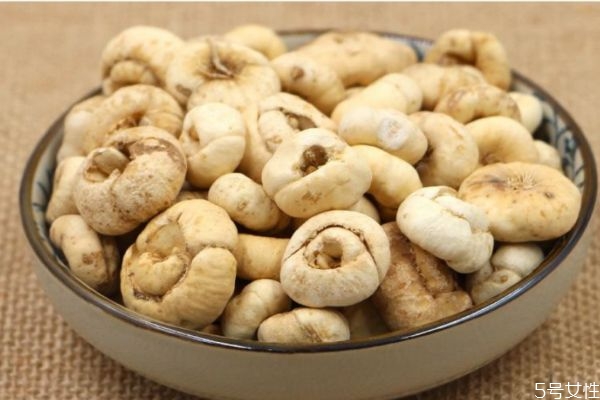 什么是大貝母呢 大貝母有什么藥用價值呢