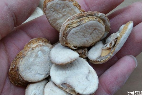 什么是大貝母呢 大貝母有什么藥用價值呢