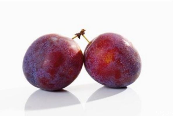 李子的營(yíng)養(yǎng)價(jià)值有什么呢 吃李子有什么好處呢 李子的營(yíng)養(yǎng)價(jià)值有什么呢 吃李子有什么好處呢