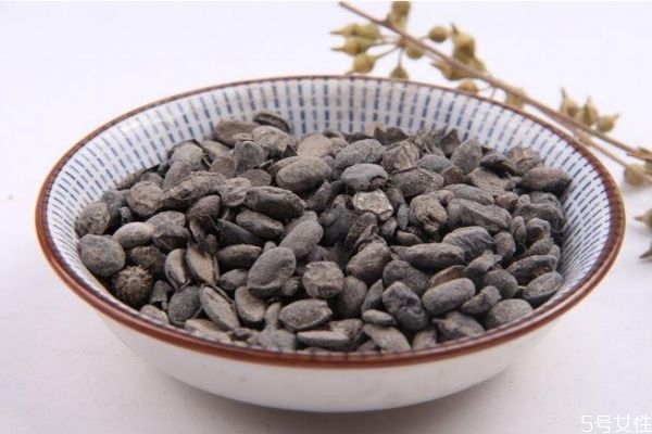 什么是淡豆鼓呢 淡豆鼓有什么營(yíng)養(yǎng)價(jià)值呢 什么是淡豆鼓呢 淡豆鼓有什么營(yíng)養(yǎng)價(jià)值呢