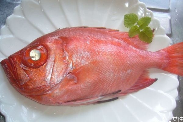 魚眼睛有什么營養(yǎng)價(jià)值呢 吃魚眼睛對人眼有好處嗎