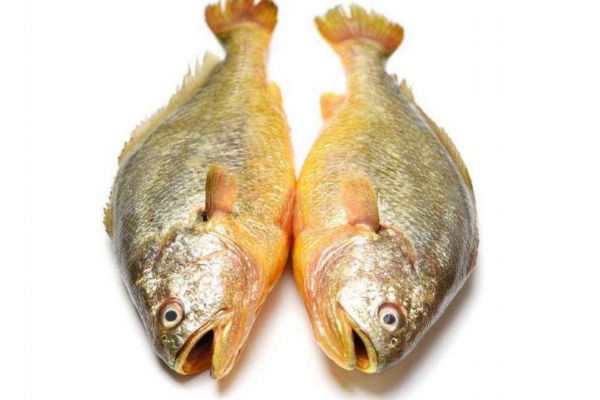 魚眼睛有什么營養(yǎng)價(jià)值呢 吃魚眼睛對(duì)人眼有好處嗎