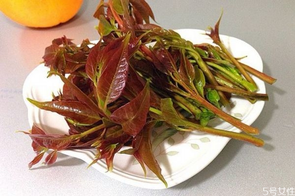 什么是香椿頭呢 香椿頭有什么營養(yǎng)價(jià)值呢 什么是香椿頭呢 香椿頭有什么營養(yǎng)價(jià)值呢