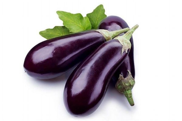 茄子生長(zhǎng)環(huán)境是怎么樣的呢 茄子主要分布地區(qū)是哪里呢 茄子生長(zhǎng)環(huán)境是怎么樣的呢 茄子主要分布地區(qū)是哪里呢