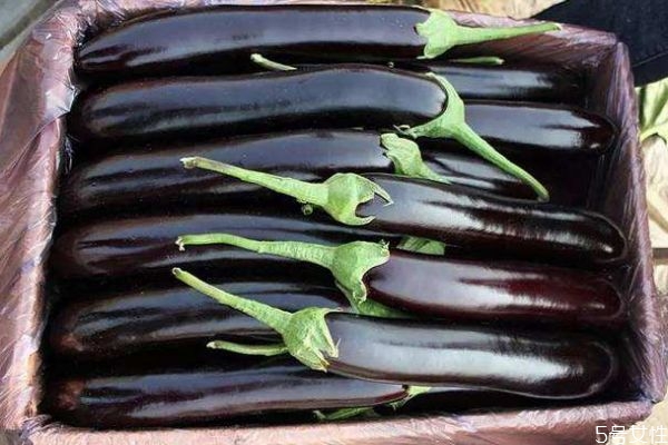 茄子生長(zhǎng)環(huán)境是怎么樣的呢 茄子主要分布地區(qū)是哪里呢 茄子生長(zhǎng)環(huán)境是怎么樣的呢 茄子主要分布地區(qū)是哪里呢