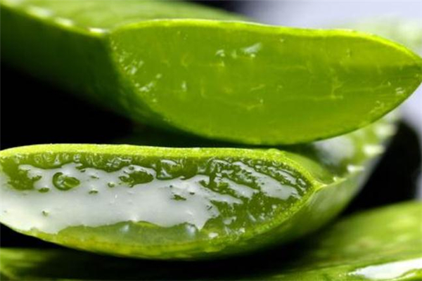 孕婦可以做蘆薈灌膚嗎 哺乳期可以蘆薈灌膚嗎 孕婦可以做蘆薈灌膚嗎 哺乳期可以蘆薈灌膚嗎