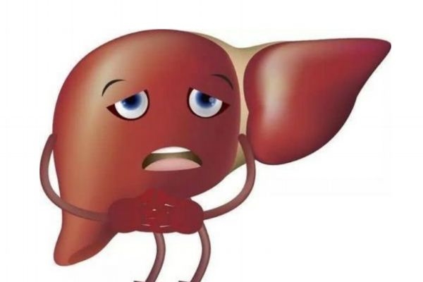 肝癌可以預(yù)防嗎 肝癌的預(yù)防方法有什么呢 肝癌可以預(yù)防嗎 肝癌的預(yù)防方法有什么呢