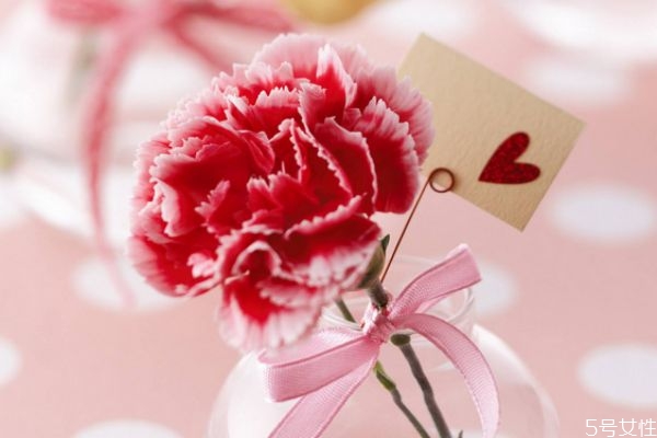 康乃馨的花語(yǔ)是什么呢 康乃馨適合送給什么人呢 康乃馨的花語(yǔ)是什么呢 康乃馨適合送給什么人呢