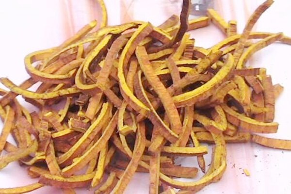 黃柏主治疾病有哪些 黃柏的生理特性 黃柏主治疾病有哪些 黃柏的生理特性