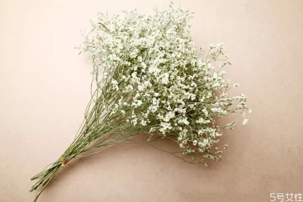 什么是情人草呢 情人草的生長(zhǎng)環(huán)境是怎么樣呢 什么是情人草呢 情人草的生長(zhǎng)環(huán)境是怎么樣呢