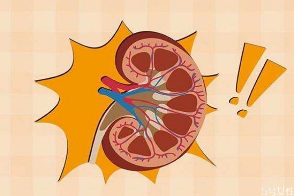 腎衰竭造成原因有什么呢 腎衰竭的高發(fā)人群有哪些呢 腎衰竭造成原因有什么呢 腎衰竭的高發(fā)人群有哪些呢