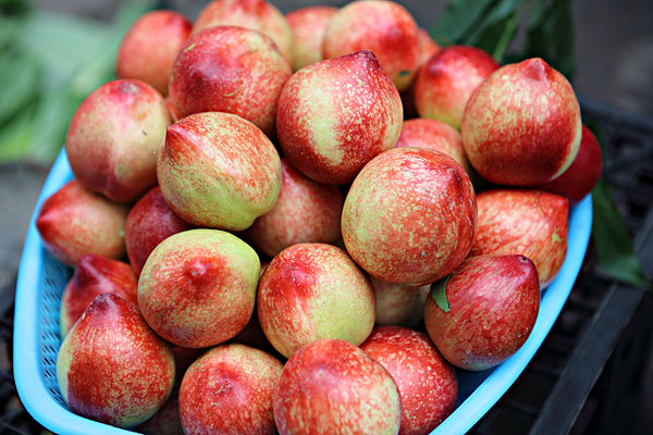 吃油桃有什么營養(yǎng) 油桃一天適合吃幾個 吃油桃有什么營養(yǎng) 油桃一天適合吃幾個