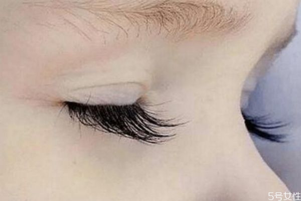 嫁接睫毛多少錢一次 睫毛接幾厘米的最自然 嫁接睫毛多少錢一次 睫毛接幾厘米的最自然
