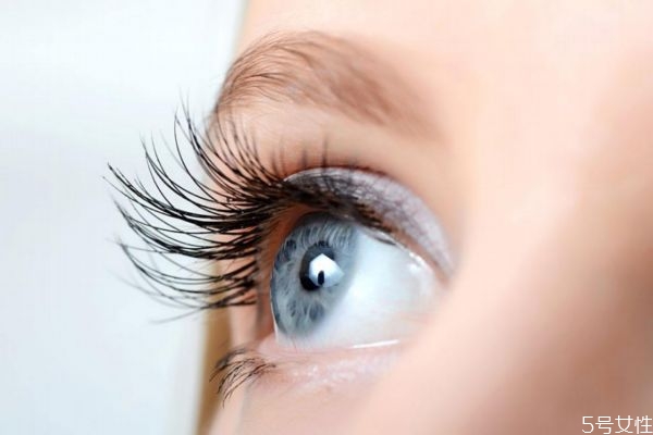 種睫毛可以化妝嗎 種睫毛當(dāng)天可以化妝嗎 種睫毛可以化妝嗎 種睫毛當(dāng)天可以化妝嗎
