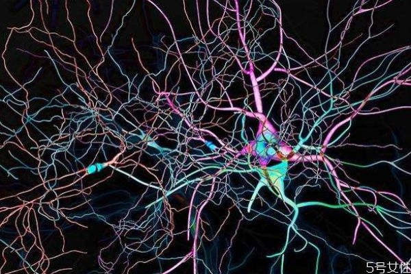 什么是多巴胺呢 多巴胺有什么作用呢 什么是多巴胺呢 多巴胺有什么作用呢