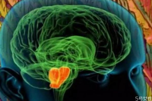 愛(ài)情是多巴胺的產(chǎn)物嗎 多巴胺是怎么產(chǎn)生的呢 愛(ài)情是多巴胺的產(chǎn)物嗎 多巴胺是怎么產(chǎn)生的呢