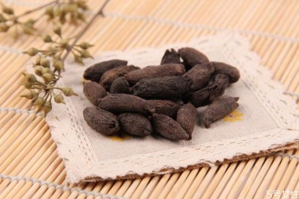 什么是母丁香呢 母丁香有什么作用呢 什么是母丁香呢 母丁香有什么作用呢