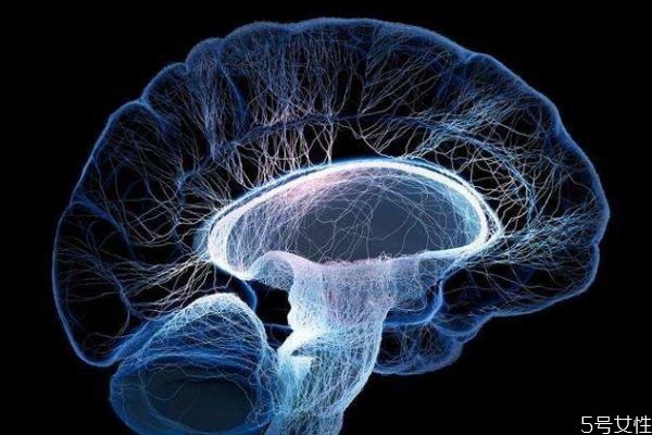 什么是腦死亡呢 腦死亡等于死亡嗎 什么是腦死亡呢 腦死亡等于死亡嗎