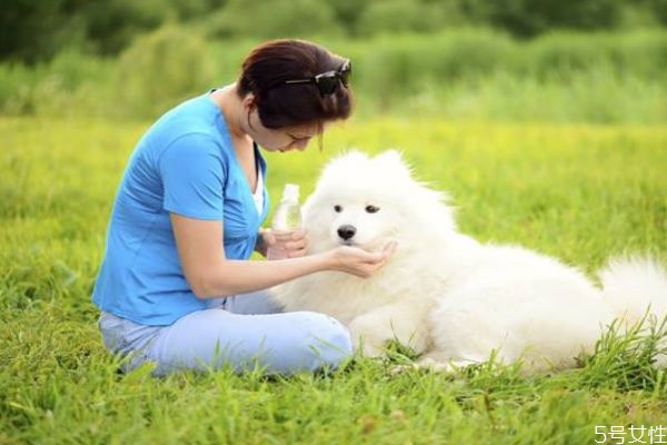 什么是弓形蟲(chóng)呢 弓形蟲(chóng)有什么危害呢