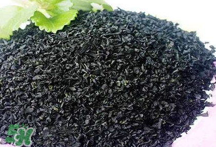 怎么辨別螺旋藻的真假？買螺旋藻怎么挑？