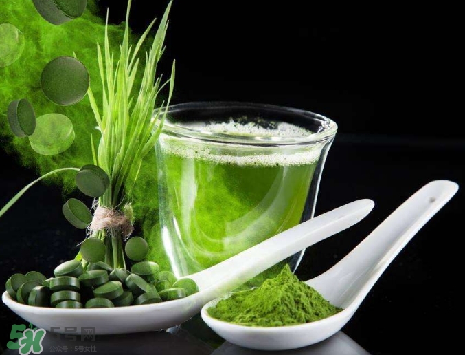 螺旋藻是什么？螺旋藻是堿性的嗎？