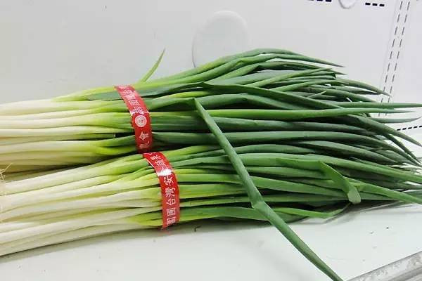 吃大蔥對(duì)身體有什么好處 大蔥的吃法有哪些 吃大蔥對(duì)身體有什么好處 大蔥的吃法有哪些