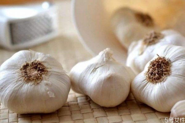 大蒜有什么營養(yǎng)價值呢 吃大蒜有什么好處呢 大蒜有什么營養(yǎng)價值呢 吃大蒜有什么好處呢