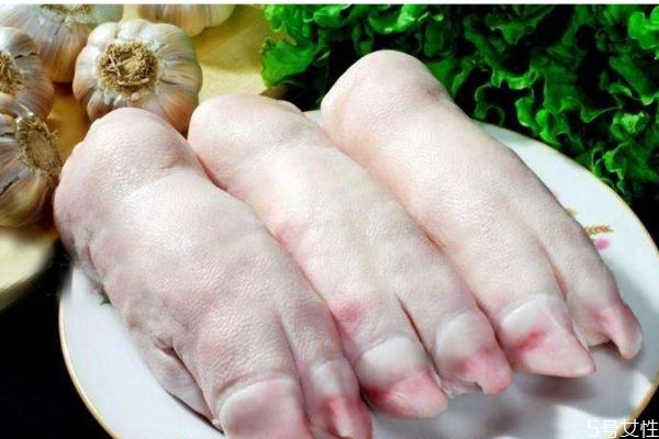 豬腳有什么營養(yǎng)價值呢 吃豬腳有什么好處呢 豬腳有什么營養(yǎng)價值呢 吃豬腳有什么好處呢