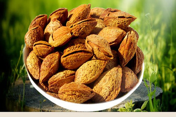 巴坦木孕婦吃好不好 孕婦吃巴坦木有什么好處 巴坦木孕婦吃好不好 孕婦吃巴坦木有什么好處