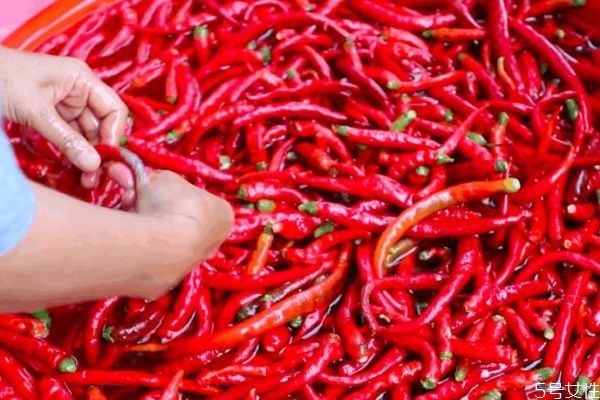 辣椒對皮膚有好處嗎 長痘痘是因為辣椒嗎 辣椒對皮膚有好處嗎 長痘痘是因為辣椒嗎