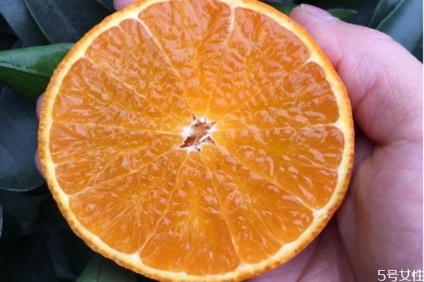 吃愛媛38號對身體有什么好處 愛媛38號吃起來像橘子嗎 吃愛媛38號對身體有什么好處 愛媛38號吃起來像橘子嗎