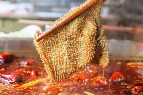 毛肚和牛肚的區(qū)別 毛肚和牛肚一樣嗎 毛肚和牛肚的區(qū)別 毛肚和牛肚一樣嗎