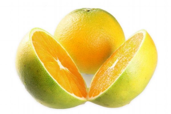 孕婦吃臍橙會讓讓寶寶黃嗎 孕婦吃臍橙有什么好處 孕婦吃臍橙會讓讓寶寶黃嗎 孕婦吃臍橙有什么好處