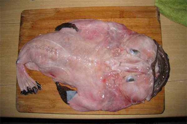 安康魚的做法 安康魚怎么做比較好吃 安康魚的做法 安康魚怎么做比較好吃