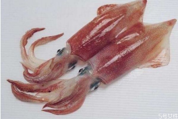 吃墨魚(yú)有什么好處呢 墨魚(yú)怎么做好吃呢