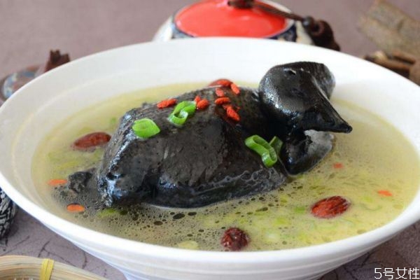 烏雞湯的熱量高嗎 喝烏雞湯會長胖嗎 烏雞湯的熱量高嗎 喝烏雞湯會長胖嗎