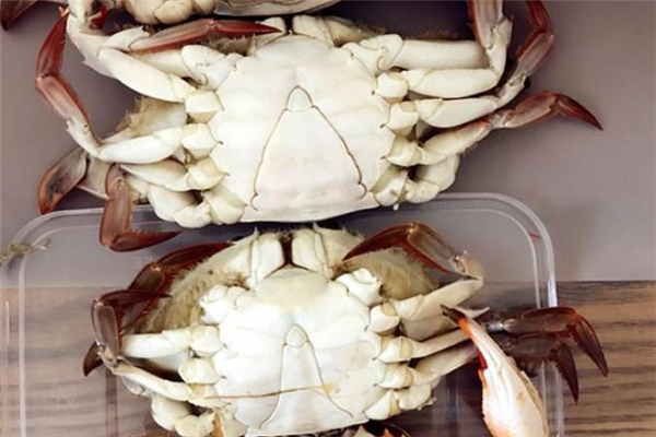 二母梭子蟹幾月最肥 二母梭子蟹是什么意思 二母梭子蟹幾月最肥 二母梭子蟹是什么意思