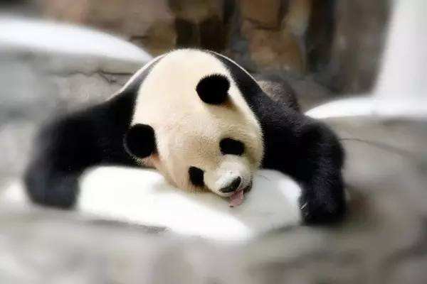 不熬夜為什么有黑眼圈 為什么熬夜會(huì)有黑眼圈