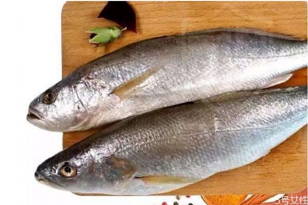 什么是黃姑魚呢 黃姑魚有什么營養(yǎng)價(jià)值呢 什么是黃姑魚呢 黃姑魚有什么營養(yǎng)價(jià)值呢