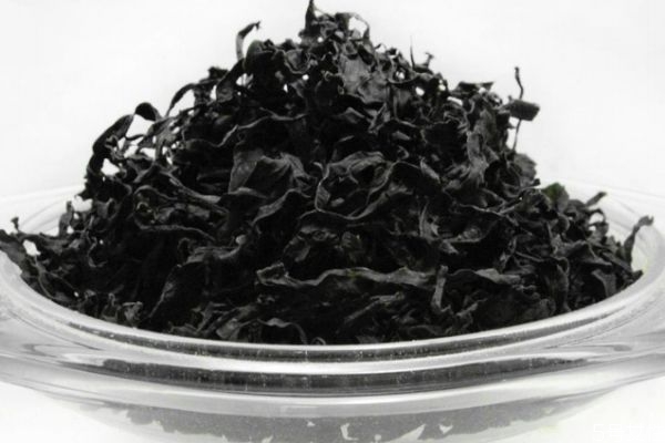 什么是海木耳呢 海木耳有什么營養(yǎng)價值呢 什么是海木耳呢 海木耳有什么營養(yǎng)價值呢