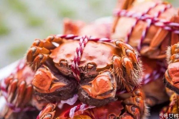 什么是梭子蟹呢 梭子蟹有什么營養(yǎng)價(jià)值呢 什么是梭子蟹呢 梭子蟹有什么營養(yǎng)價(jià)值呢