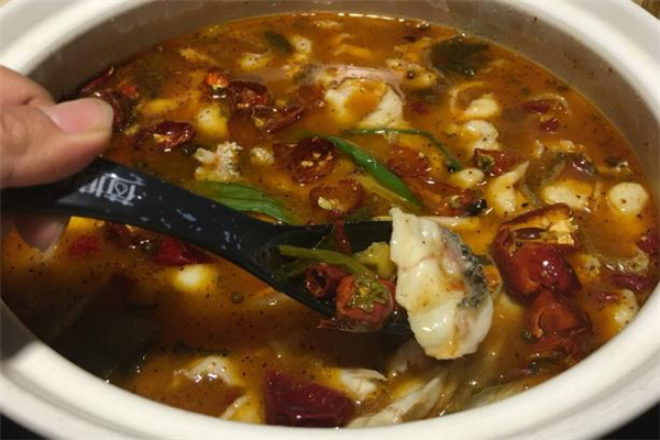 吃黑魚(yú)會(huì)過(guò)敏嗎 吃黑魚(yú)過(guò)敏有什么反應(yīng) 吃黑魚(yú)會(huì)過(guò)敏嗎 吃黑魚(yú)過(guò)敏有什么反應(yīng)