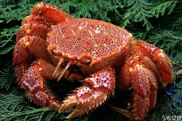 什么是毛蟹呢 毛蟹有什么營養(yǎng)價(jià)值呢 什么是毛蟹呢 毛蟹有什么營養(yǎng)價(jià)值呢