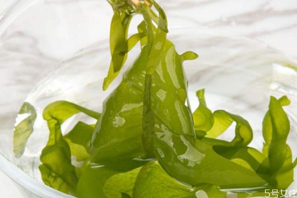 什么是海白菜呢 海白菜的營(yíng)養(yǎng)價(jià)值有什么呢 什么是海白菜呢 海白菜的營(yíng)養(yǎng)價(jià)值有什么呢