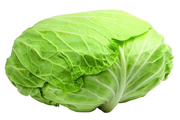 吃包菜對(duì)身體有什么好處 包菜怎么保存不爛 吃包菜對(duì)身體有什么好處 包菜怎么保存不爛