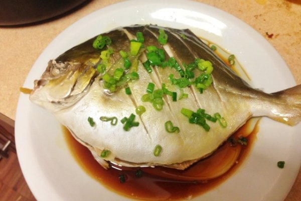 怎么挑選金鯧魚(yú) 金鯧魚(yú)烹飪技巧 怎么挑選金鯧魚(yú) 金鯧魚(yú)烹飪技巧