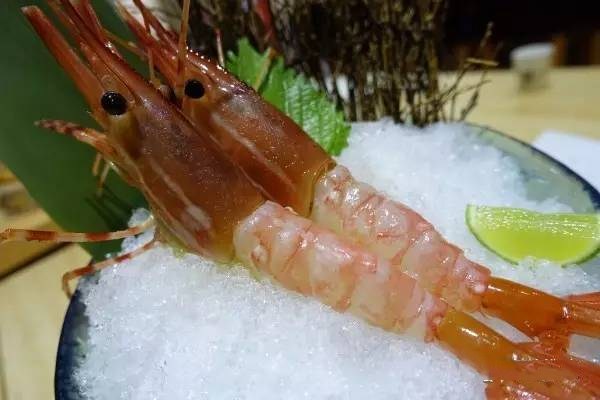 牡丹蝦怎么處理 牡丹蝦怎么保存 牡丹蝦怎么處理 牡丹蝦怎么保存