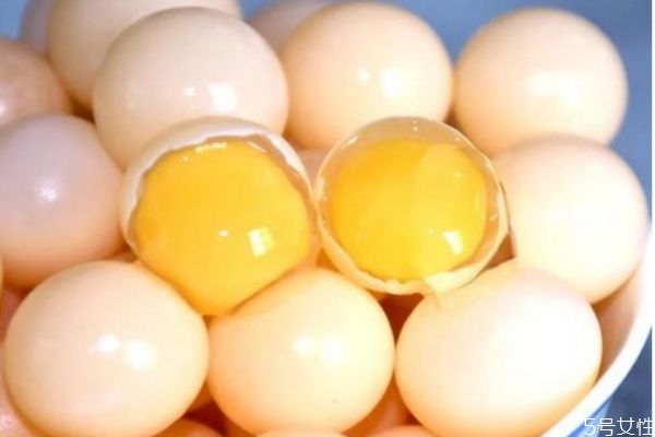 甲魚蛋有什么營養(yǎng)價(jià)值呢 吃甲魚蛋有什么好處呢