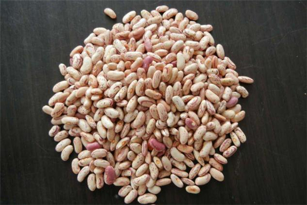 蕓豆怎么泡最快 蕓豆用熱水還是冷水泡 蕓豆怎么泡最快 蕓豆用熱水還是冷水泡